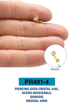 PR491-4