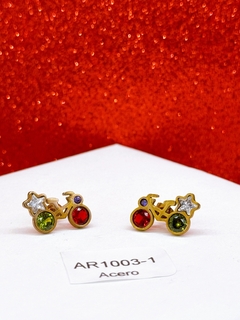 AR1003-1