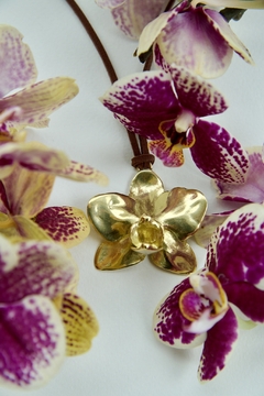 Collar botanic en internet