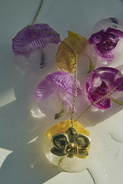 Collar Leo - Calia