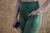 Conjunto Suzan na internet