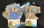 Meia Criança Menino KIT 05 Pacotes - comprar online