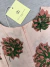 Vestido nuevo PAULA CAHEN D"ANVERS Liz Talla 8 - tienda online