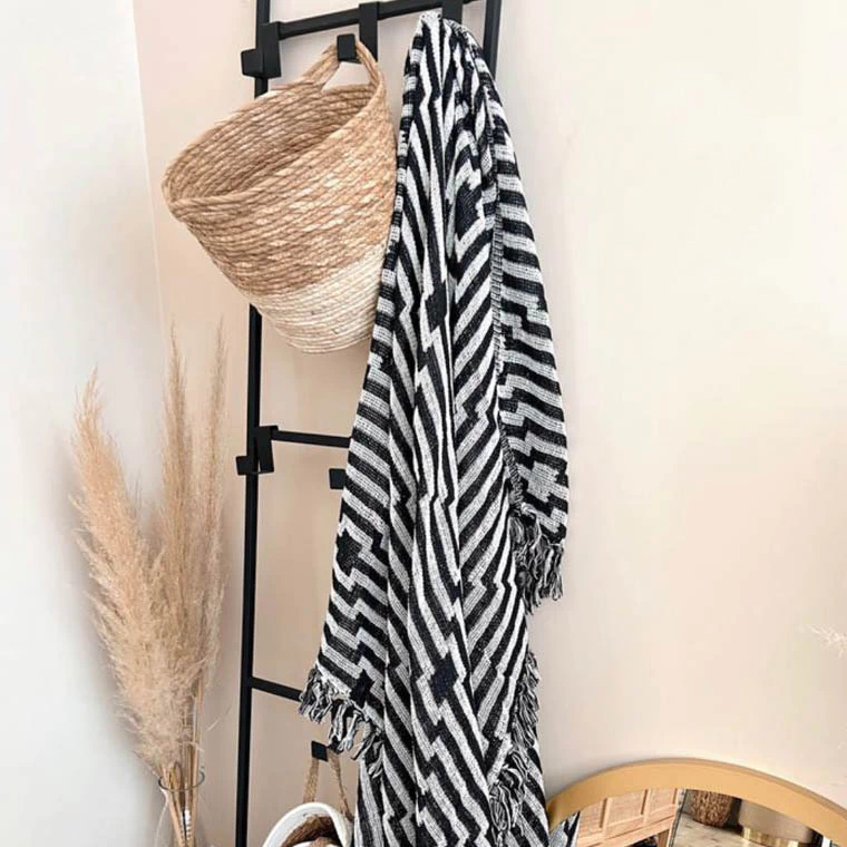 Manta Zebra