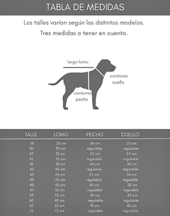 Tabla de medidas