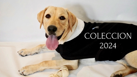 Carrusel MPC Ropa para perros