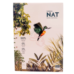 Repuesto Ledesma Nat a4 5 perforaciones 80 hojas rayadas