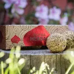 BOMBAS PARA SAHUMAR