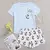 Conjunto pijama feminino na internet