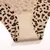 Imagem do Seamless Sexy Leopard Bras Set para Mulheres, Push Up Bras, Hollow Out, Cintura