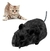 Brinquedo ratinho de fricção cores Brinquedo pet ratinho Ratinho de fricção pet - Tigrão pet