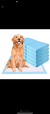 Tapete higiênico pet Tapete pet higiênico Tapetes descartáveis - comprar online