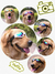 Óculos pet cores Óculos proteção pet - comprar online