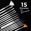 Set pinceles x15