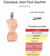 DECANT - JEAN PAUL CLASSIQUE - comprar online