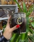 Mates Imperiales con dije - comprar online