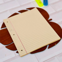 REPUESTO ECOLÓGICO HOJAS DE CARPETA NRO 3 X48 HOJAS RAYADAS