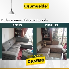 Restauración - comprar online