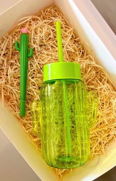 Box Cactus + Birome