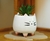 Plantines Decorativos - comprar online