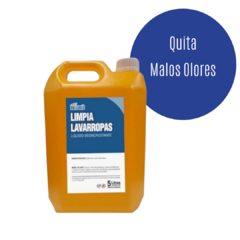 Limpia Lavarropas x 5 Lts en internet