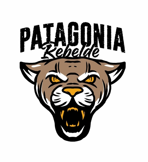 Carrusel Patagonia Rebelde