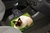 Lixo Car, Gato Himalaia Material Neoprene 3 mm 30x25