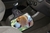 Lixo Car, Beagle Material Neoprene 3MM 30x25CM