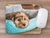 Mouse Pad, Shih Tzu - Ev Shop Loja de Variedades
