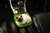 Lixo Car, Gato Himalaia Material Neoprene 3 mm 30x25 na internet