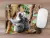 Mouse Pad Emborrachado Personalizado Animais Exóticos Selvagens