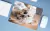 Mouse Pad Grande, Pinscher na internet