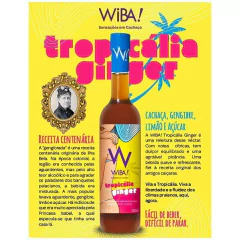Wiba Tropicália Ginger 500ml - comprar online