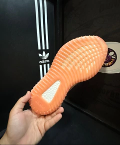 Adidas Yeezy 350 CALIDAD G5 - CLINCKSTORE