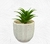 Maceta taza con cactus - comprar online