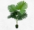 Planta Adan
