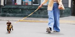 Banner de la categoría JEANS