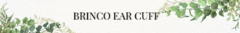 Banner da categoria Brinco Ear Cuff