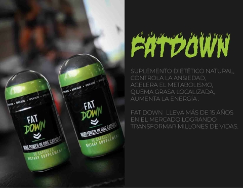 Carrusel Fatdownco