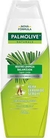 SHAMPOO PAMOLIVE 350ML na internet