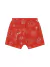 Conjunto Com Bermuda Saruel Brandili Baby Ref: 26091 - comprar online