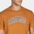 Imagem do Camiseta Aramis New College - Ambar ( Alarajado Queimado )