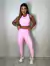 Conjunto top camiseta e calça jaguar - Rosa na internet
