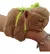 Peluche Capybara Pulceras c/Tortuga