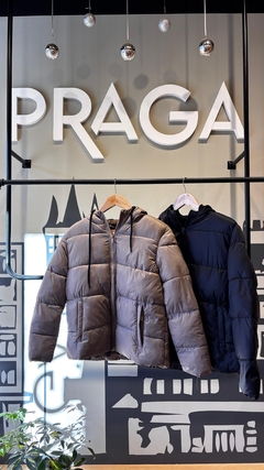 campera avela koxis en internet