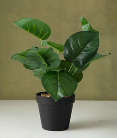 PLANTA ARTIFICIAL