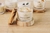 Vela Perfumada Maçã & Canela Com Cristais 100 G na internet