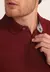 Polo Tommy Hilfiger Reta na internet