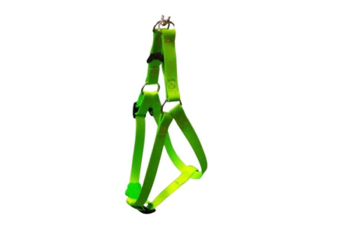 Conjunto Guia e Peitoral Neon Ajustável - loja online