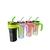Copo Térmico Com Canudo 800ml Inox Blogueiras - comprar online